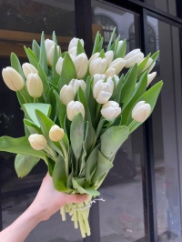 Hướng dẫn thanh toán