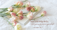 Hoa tươi nhập khẩu – Món quà cao cấp dành cho người đặc biệt