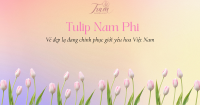 Tulip Nam Phi – Vẻ đẹp lạ đang chinh phục giới yêu hoa Việt Nam