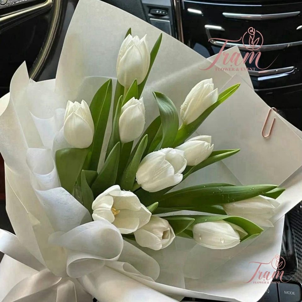 Bó hoa Tulip trắng nhập khẩu