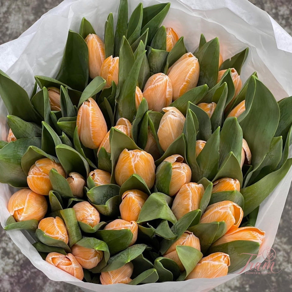 Bó hoa Tulip cam nhập khẩu