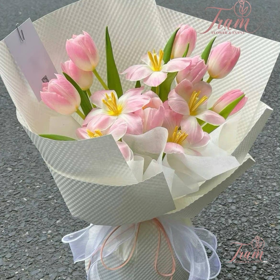 Bó hoa Tulip hồng nhập khẩu