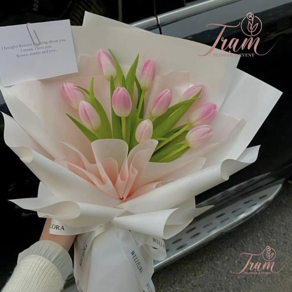 Bó hoa Tulip hồng nhập khẩu