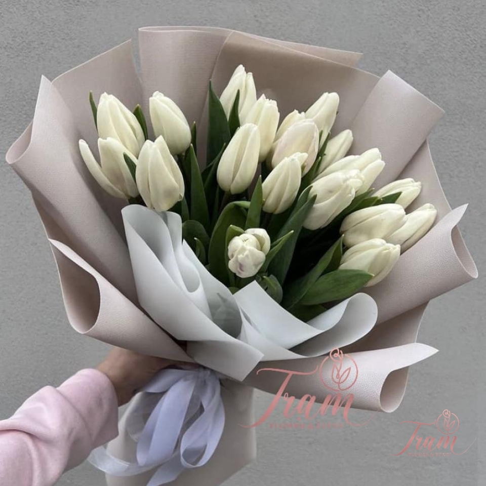 Bó hoa Tulip trắng nhập khẩu
