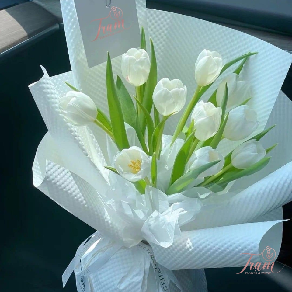 Bó hoa Tulip trắng nhập khẩu