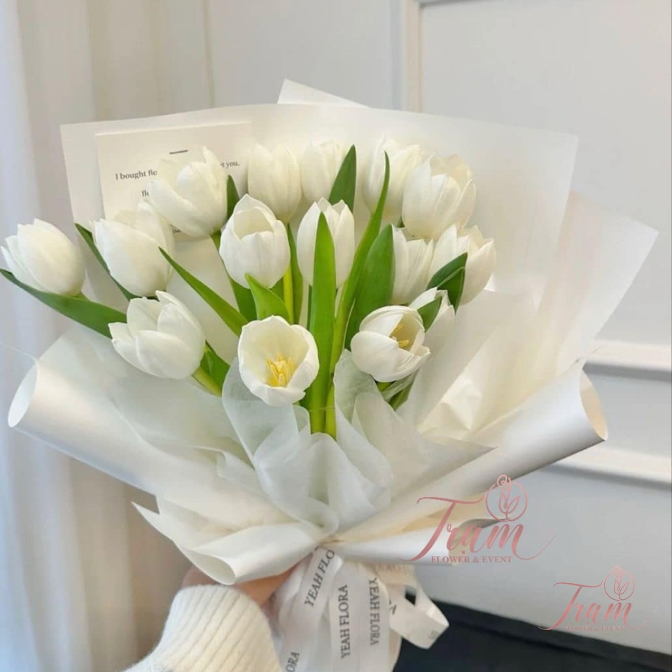 Bó hoa Tulip trắng nhập khẩu