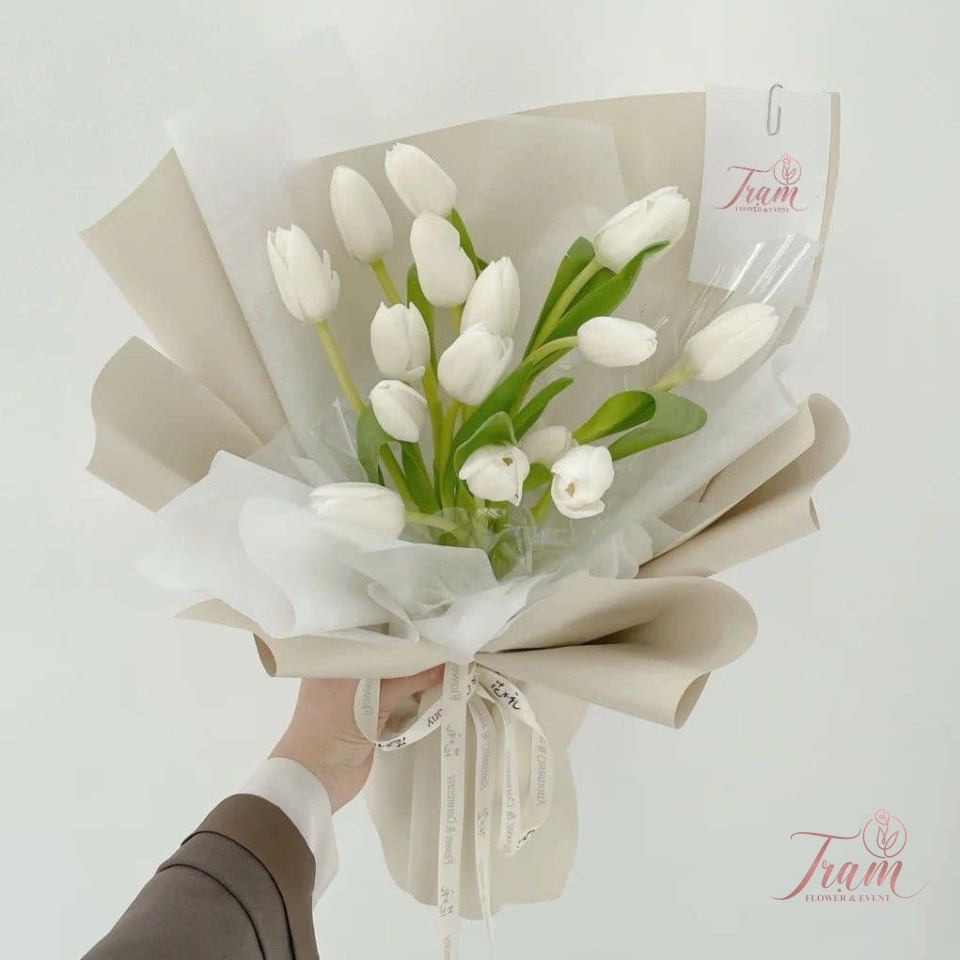 Bó hoa Tulip trắng nhập khẩu