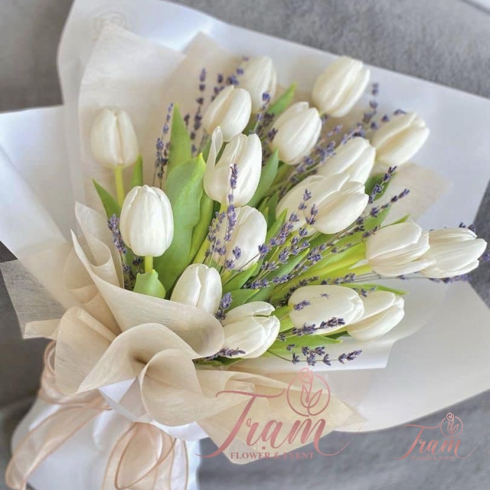 Bó hoa Tulip trắng nhập khẩu