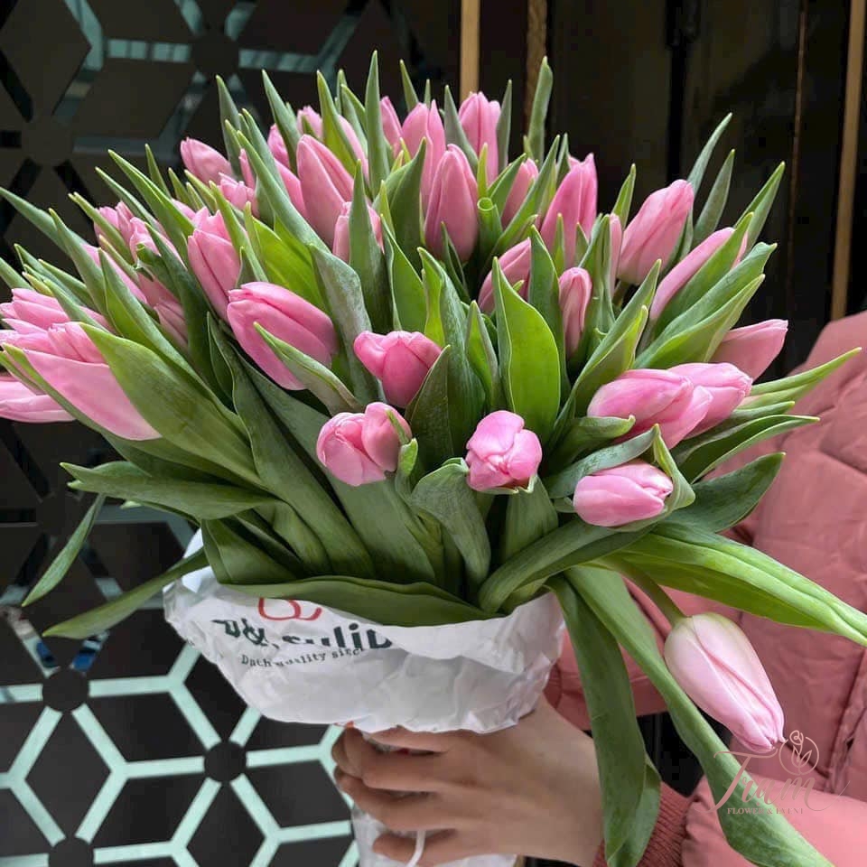 Bó hoa Tulip hồng nhập khẩu