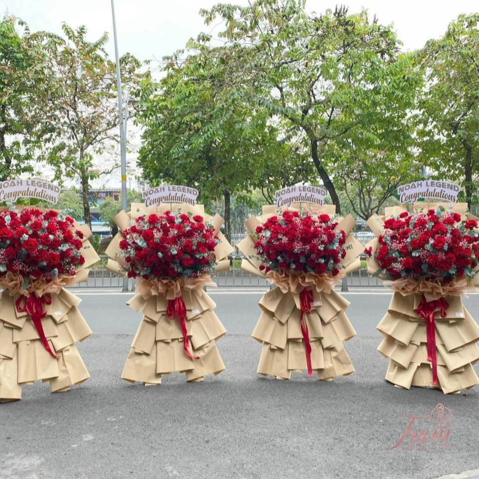Hoa khai trường KC004