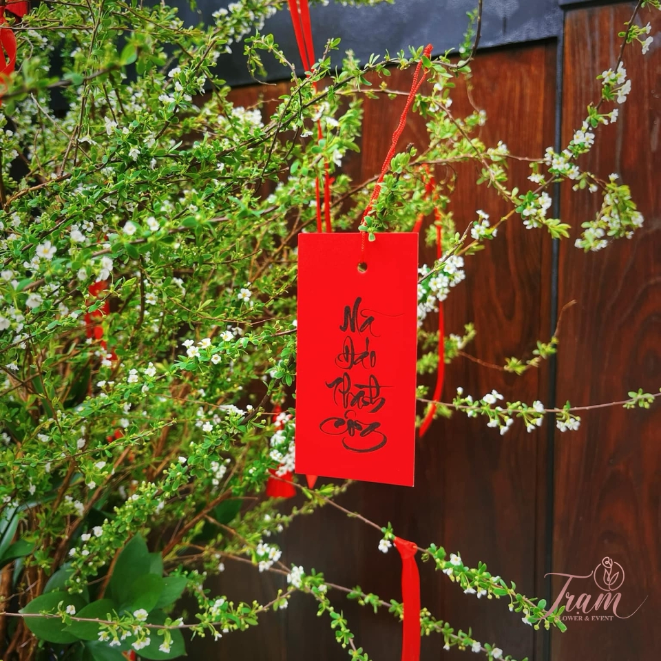 Hoa Tết T001