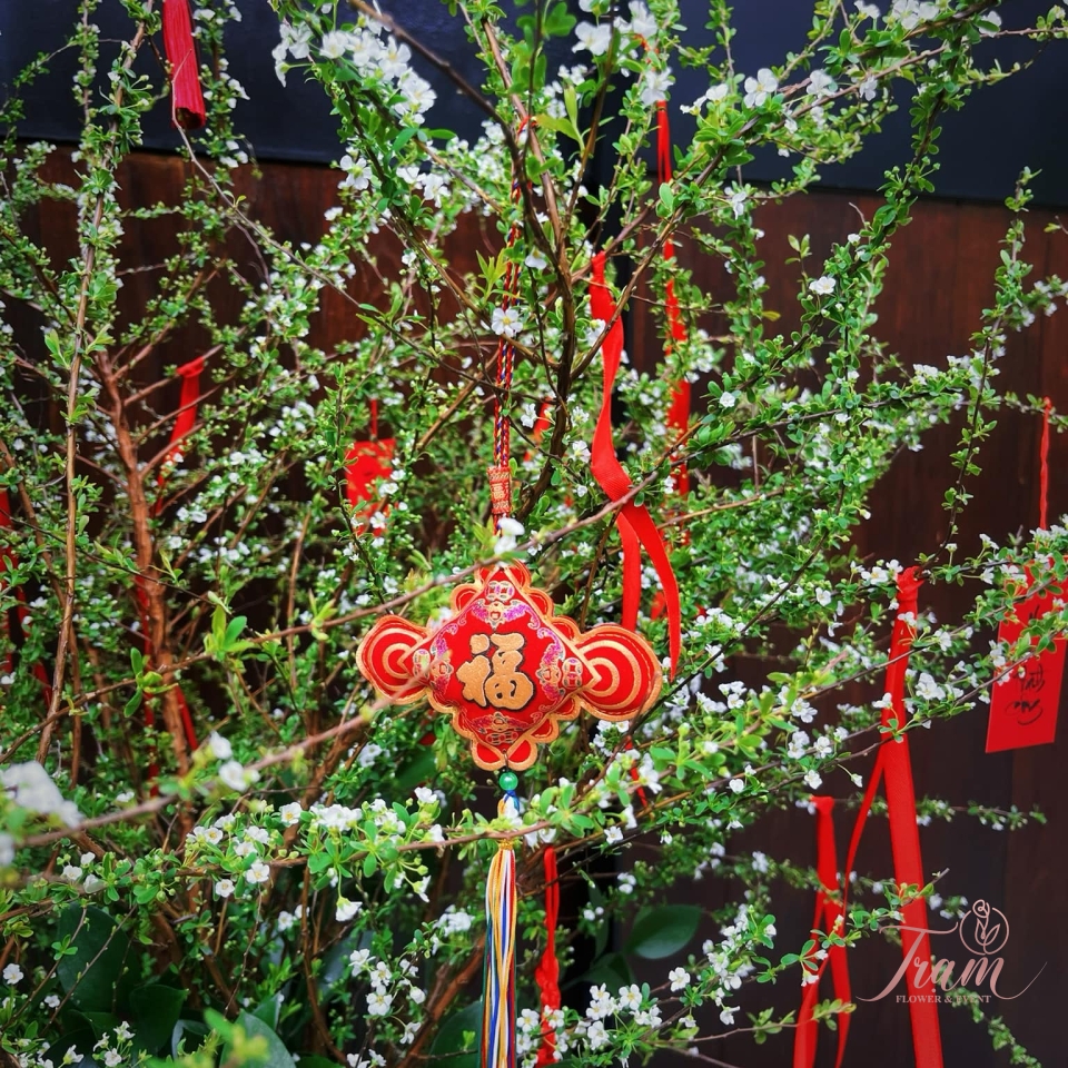 Hoa Tết T001