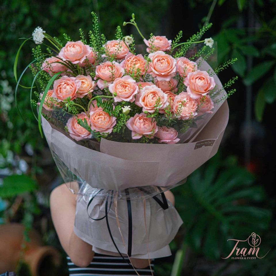 Cam Ngọt – Tròn Đầy Sức Sống