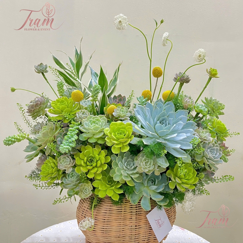 Giỏ Sen Đá “An Nhiên & Yêu Thương”