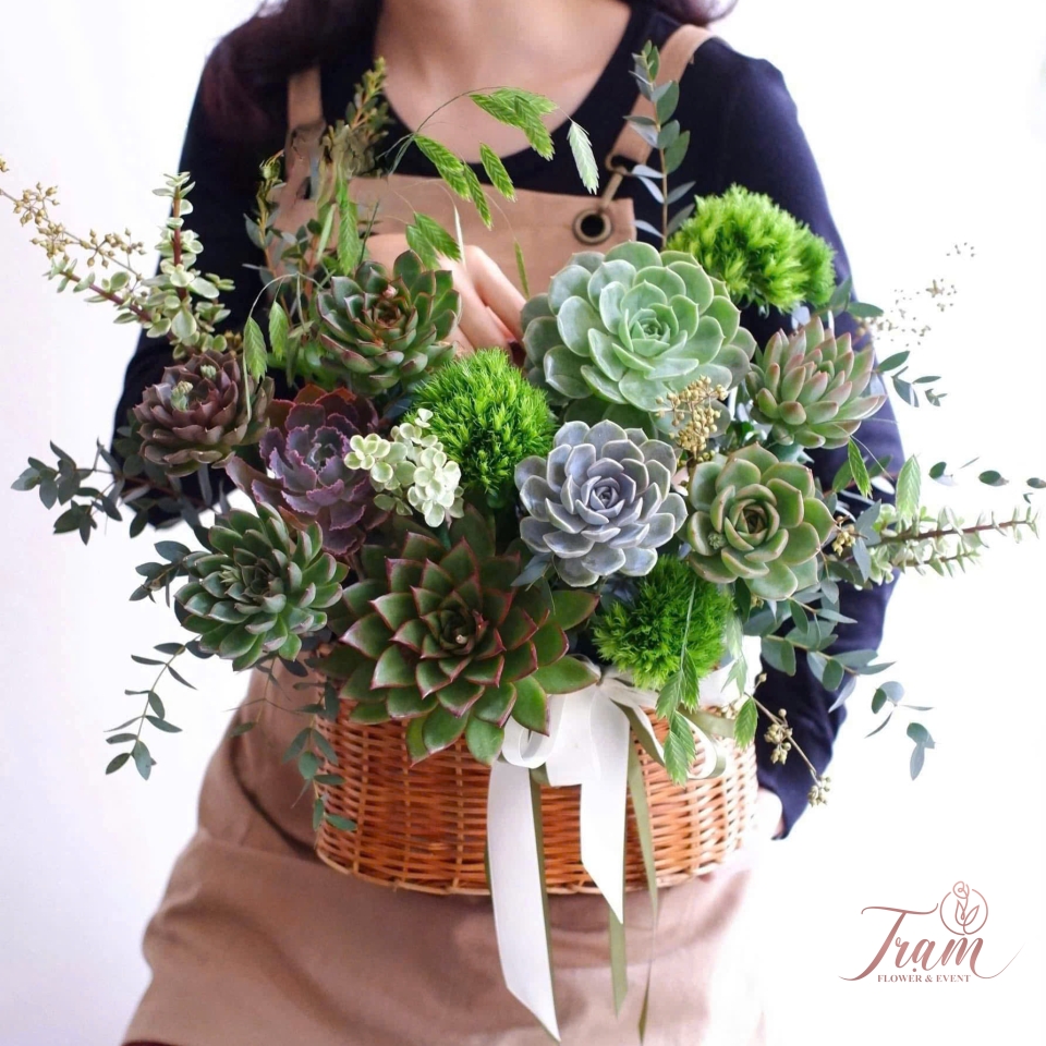 Giỏ Hoa Sen Đá “Thơ Mộng Như Mây”