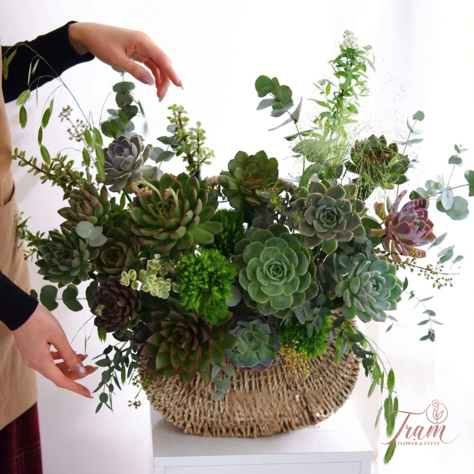 Giỏ Hoa Sen Đá “Xinh Yêu Mỗi Ngày”