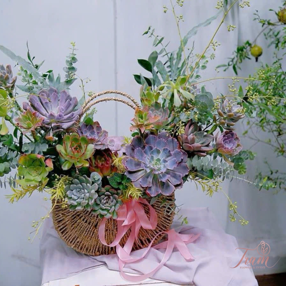 Giỏ Hoa Sen Đá "Sắc Màu Bình Yên"