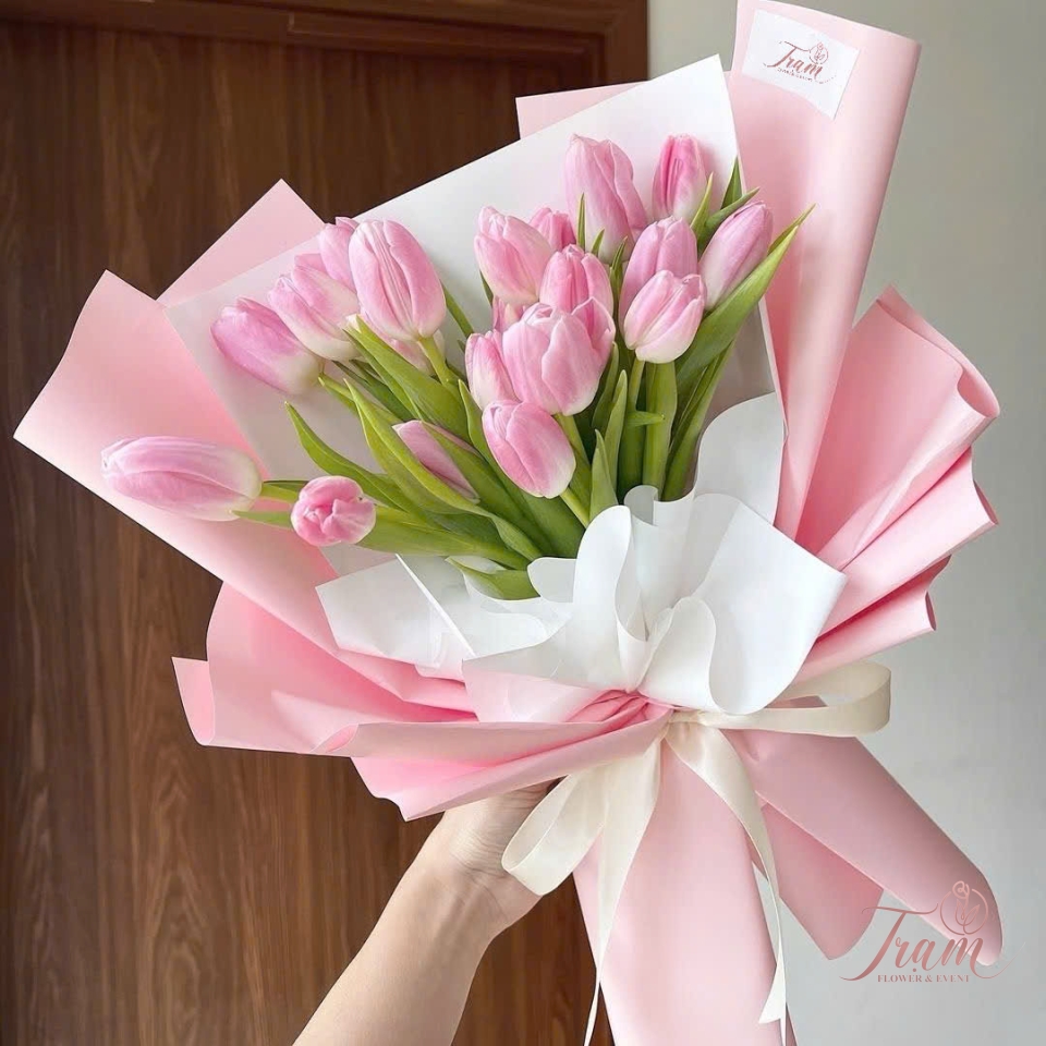 “Hồng Say Đắm” – Hoa Tulip Hồng Đậm Nhập Khẩu