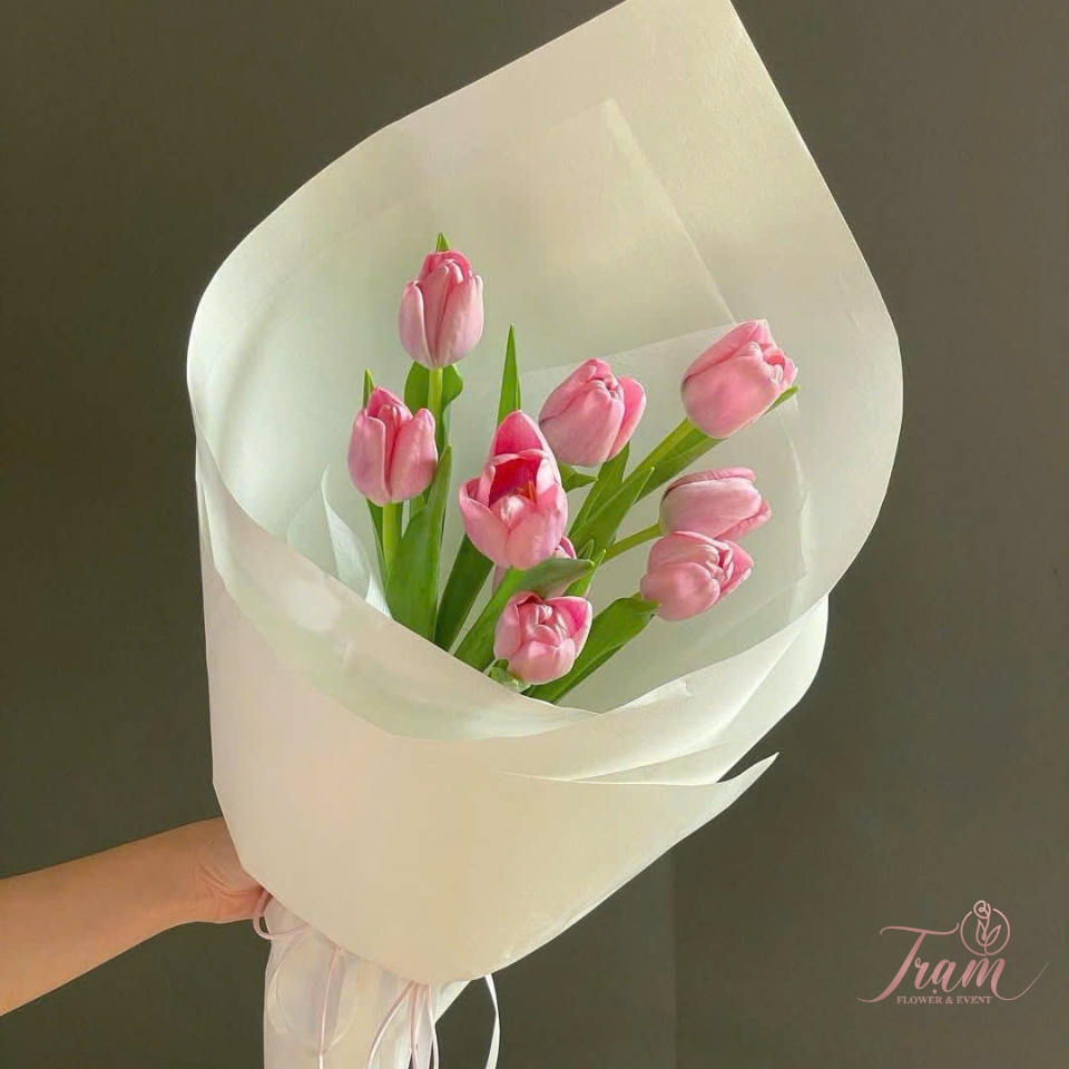 “Hồng Say Đắm” – Bó Hoa Tulip Hồng Đậm Nhập Khẩu