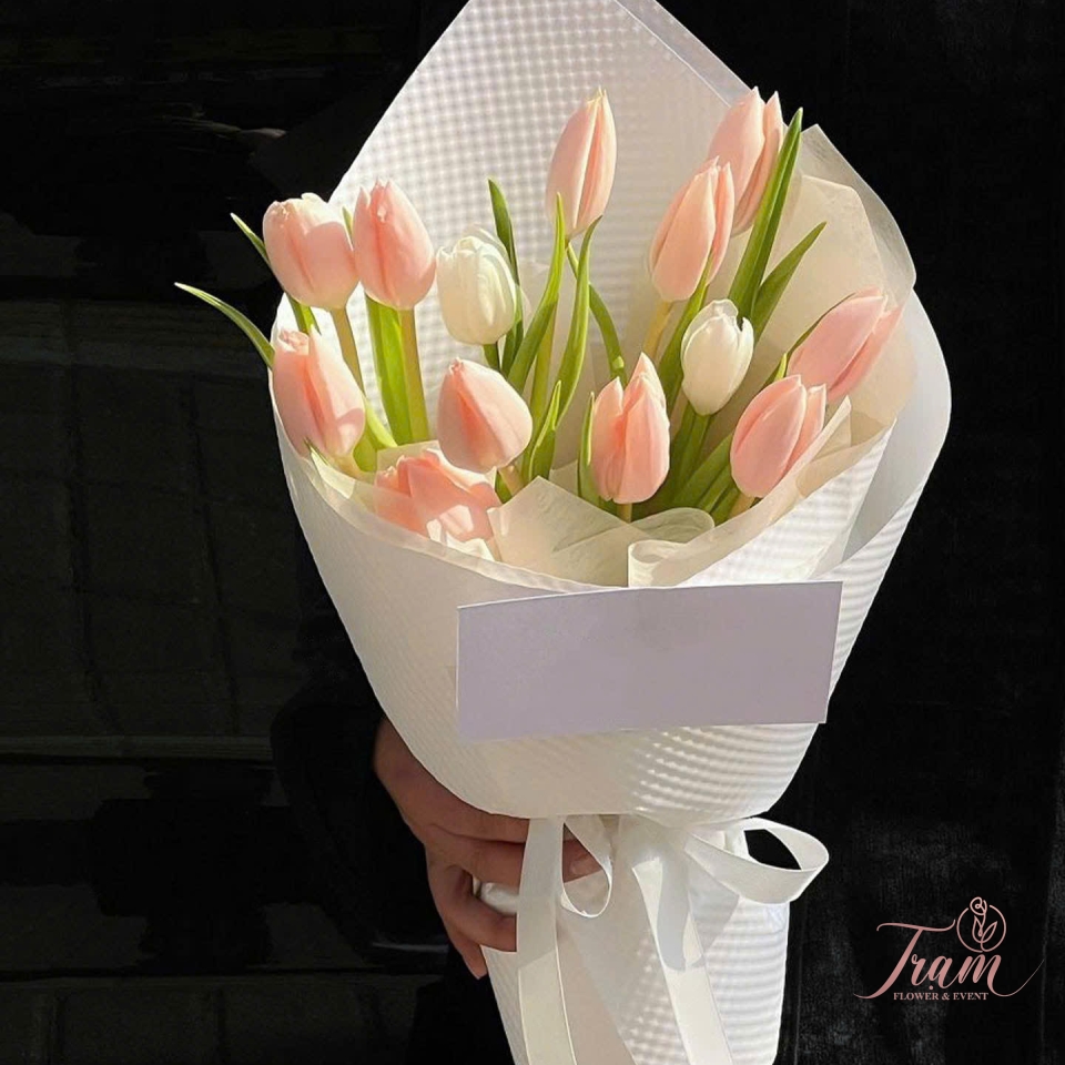 “Hồng Dịu Dàng – Bó Hoa Tulip Hồng Nhạt Nhập Khẩu”