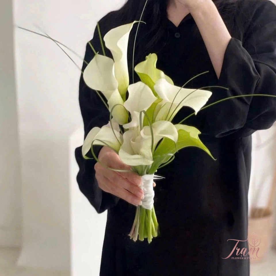 “Lặng Yên – Calla Lily Tinh Khôi”