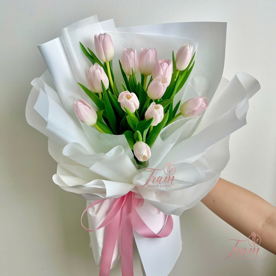 Bó Tulip Hồng Phớt Thanh Nhã