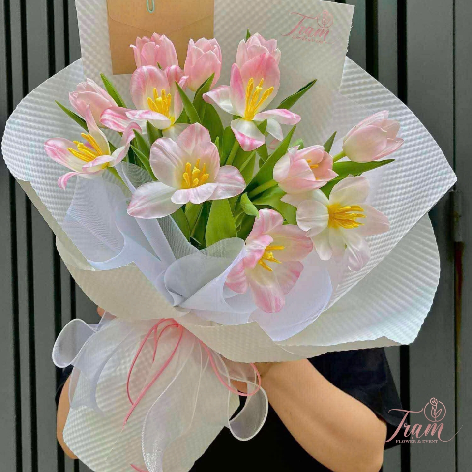 Tulip Hồng Nhạt – Ngọt Ngào Trao Gửi Yêu Thương