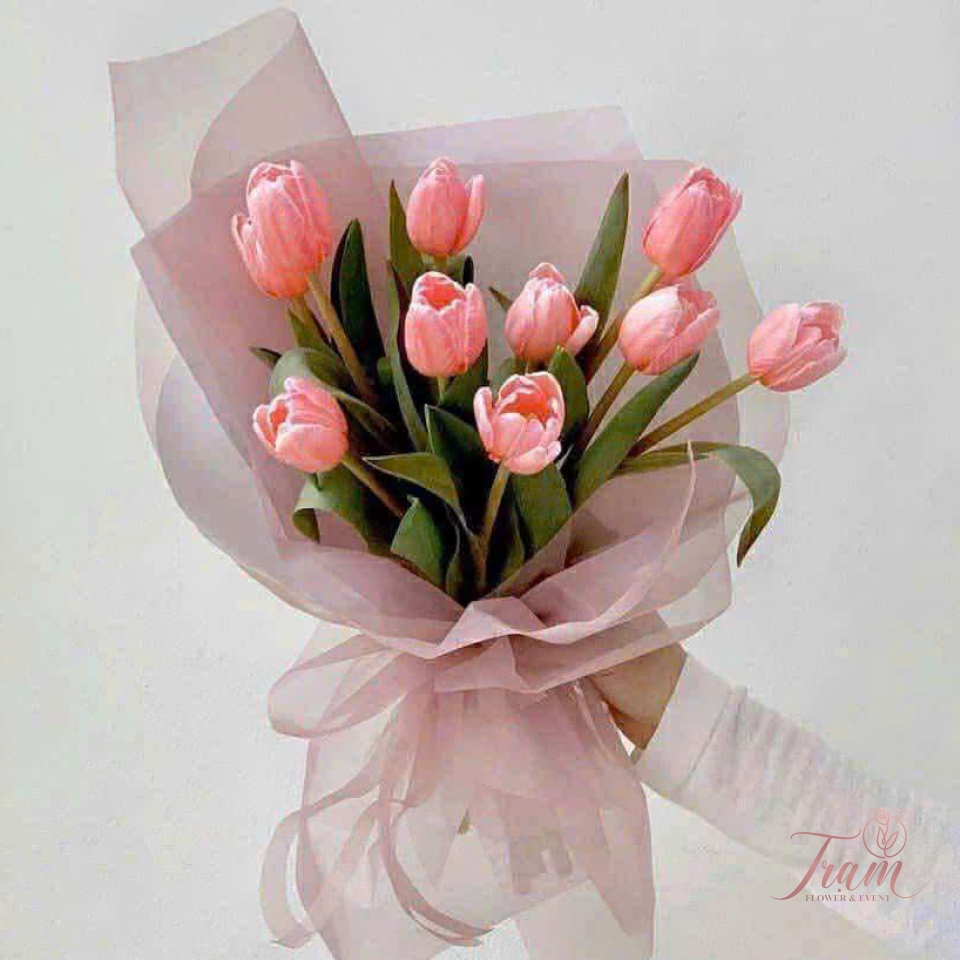 Bó Tulip Đỏ Nhạt – Nồng Nàn Dịu Dàng