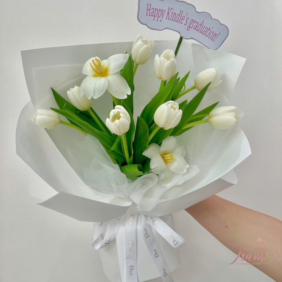 Bó Tulip Trắng – Thanh Khiết & Tinh Khôi
